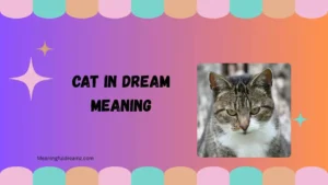 cat in dream meaning
