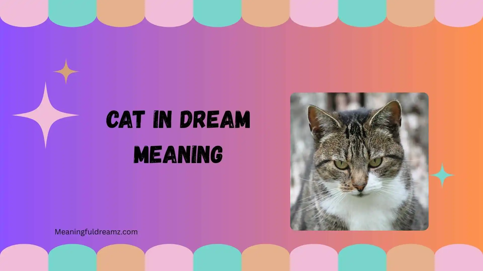 cat in dream meaning