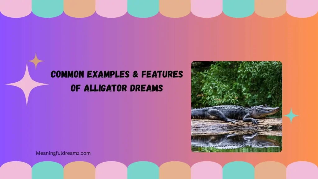 Common Examples & Features of Alligator Dreams