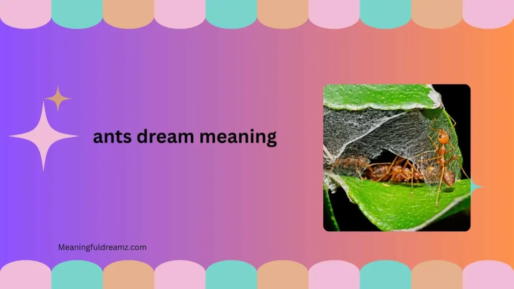 Common Examples and Features of Ant Dreams