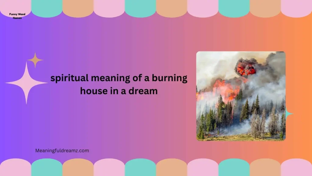 Common Examples and Features of Burning House Dreams