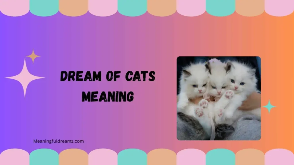 Common Examples & Features of Dream of Cats Meaning