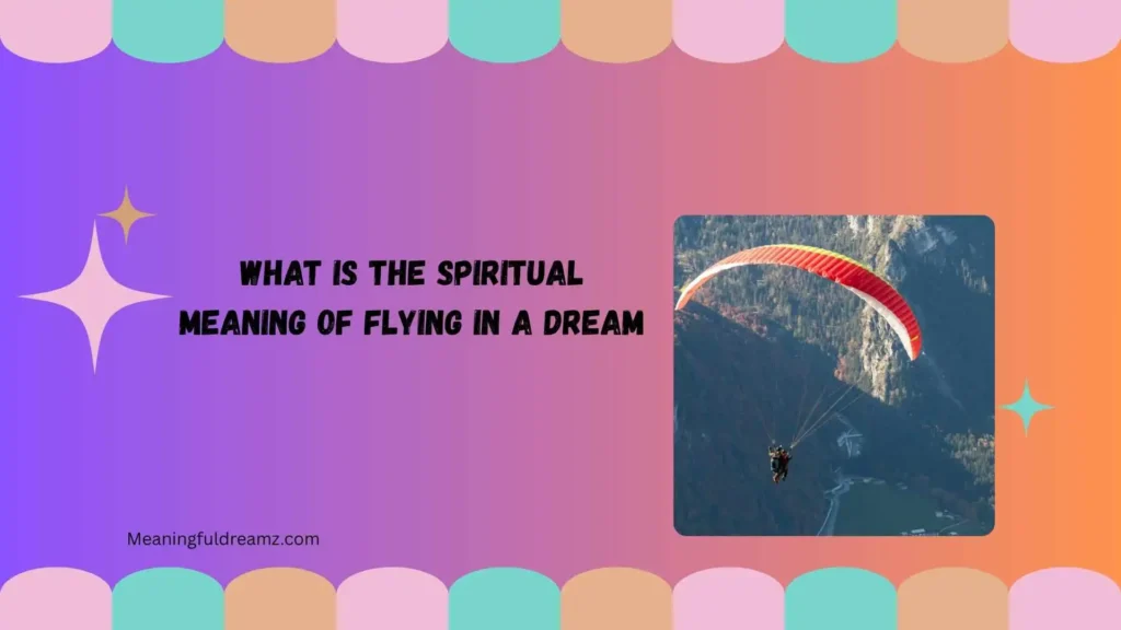 Common Examples and Features of Flying Dreams