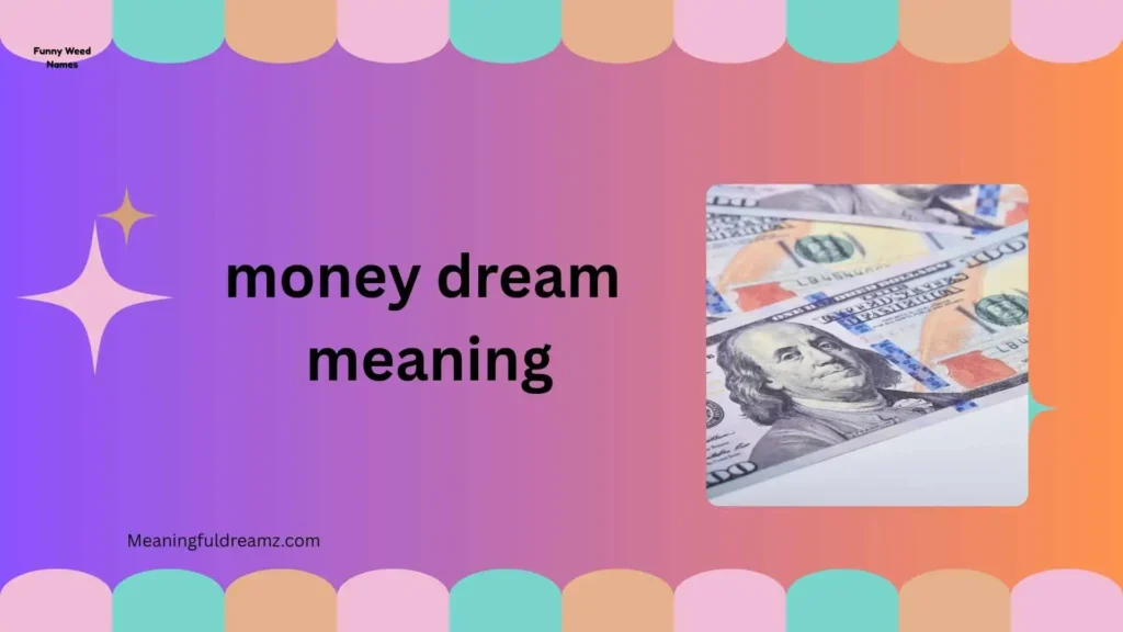 Common Examples and Features of Money Dream Meaning