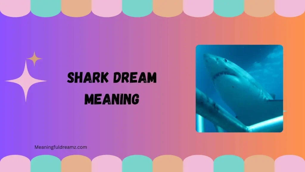 Common Examples & Features of Shark Dream Meaning