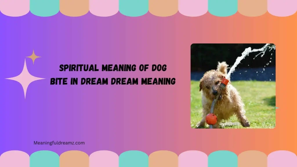 Common Examples & Scenarios of Dog Bite Dreams
