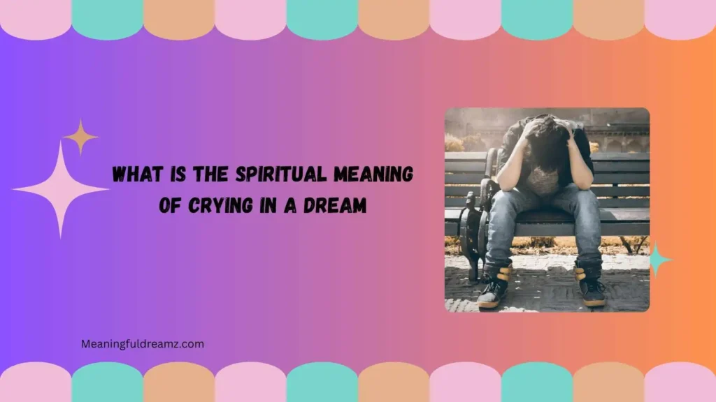 Common Examples, Features, and Spiritual Benefits of Crying Dreams