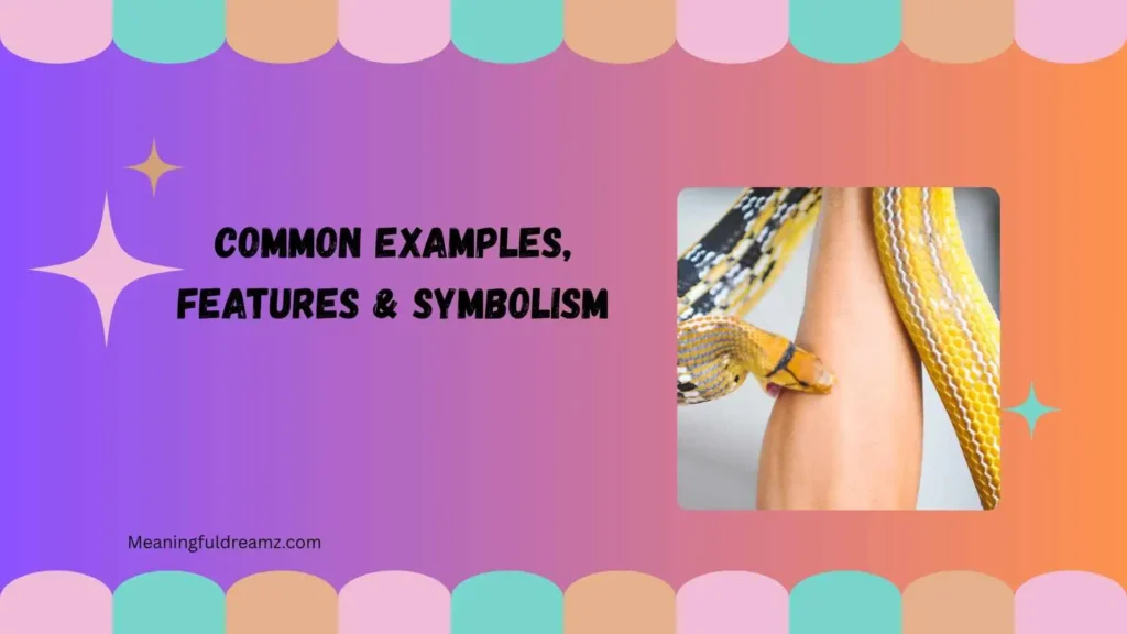 Common Examples, Features & Symbolism
