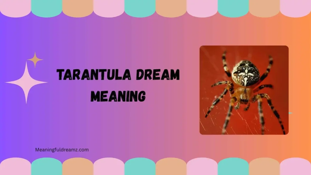 Common Features and Symbolic Meanings of Tarantula Dreams
