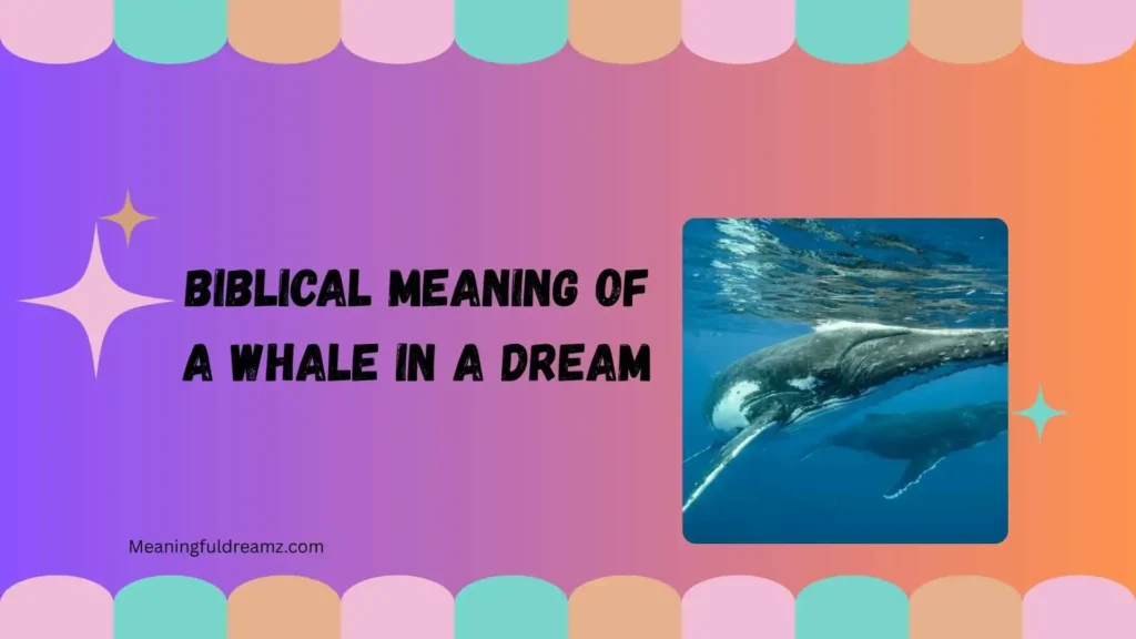 Common Features and Symbolic Meanings of Whale Dreams