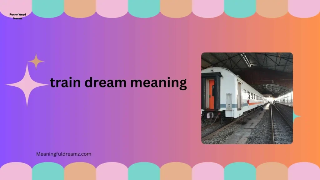 Common Features and Symbolism in Train Dreams