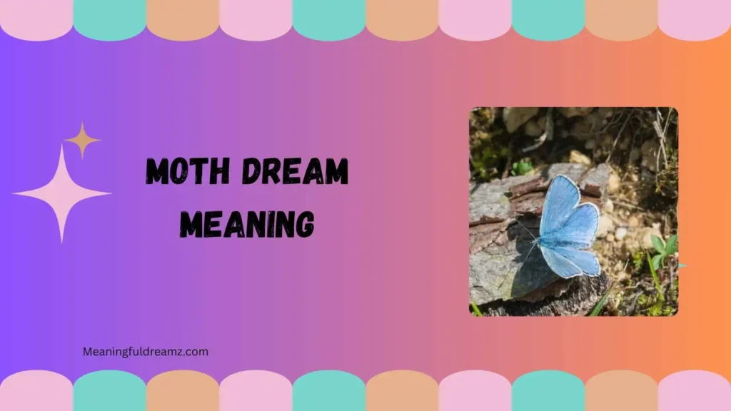 Common Features and Symbolism of Moth Dreams