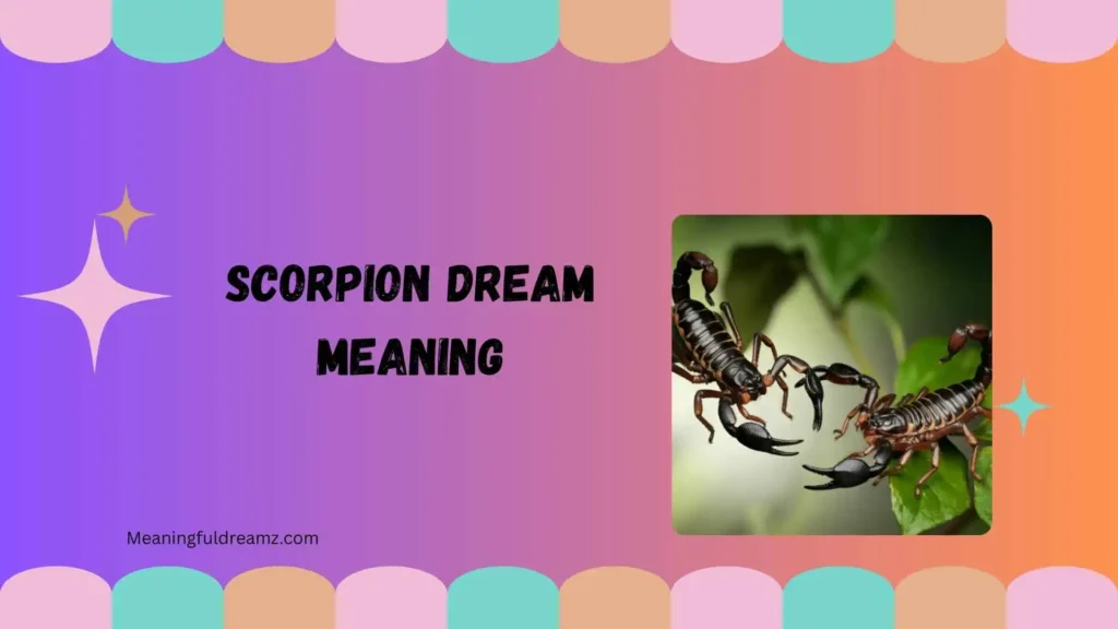 Common Features & Symbolism of Scorpion Dreams
