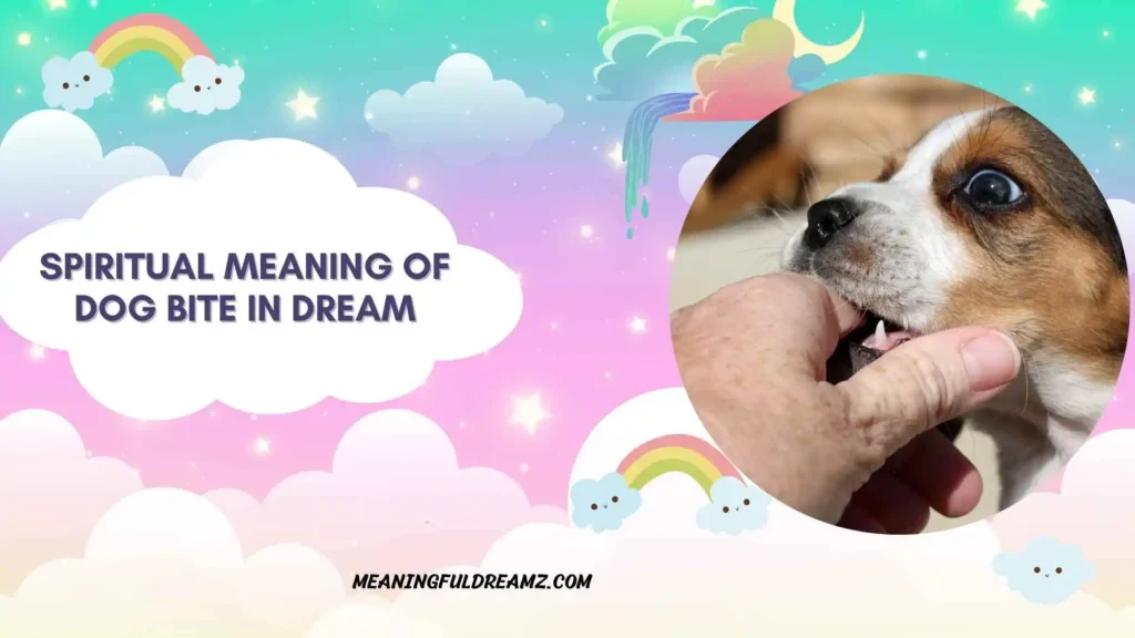 Dog Bite in Dream Is Good or Bad