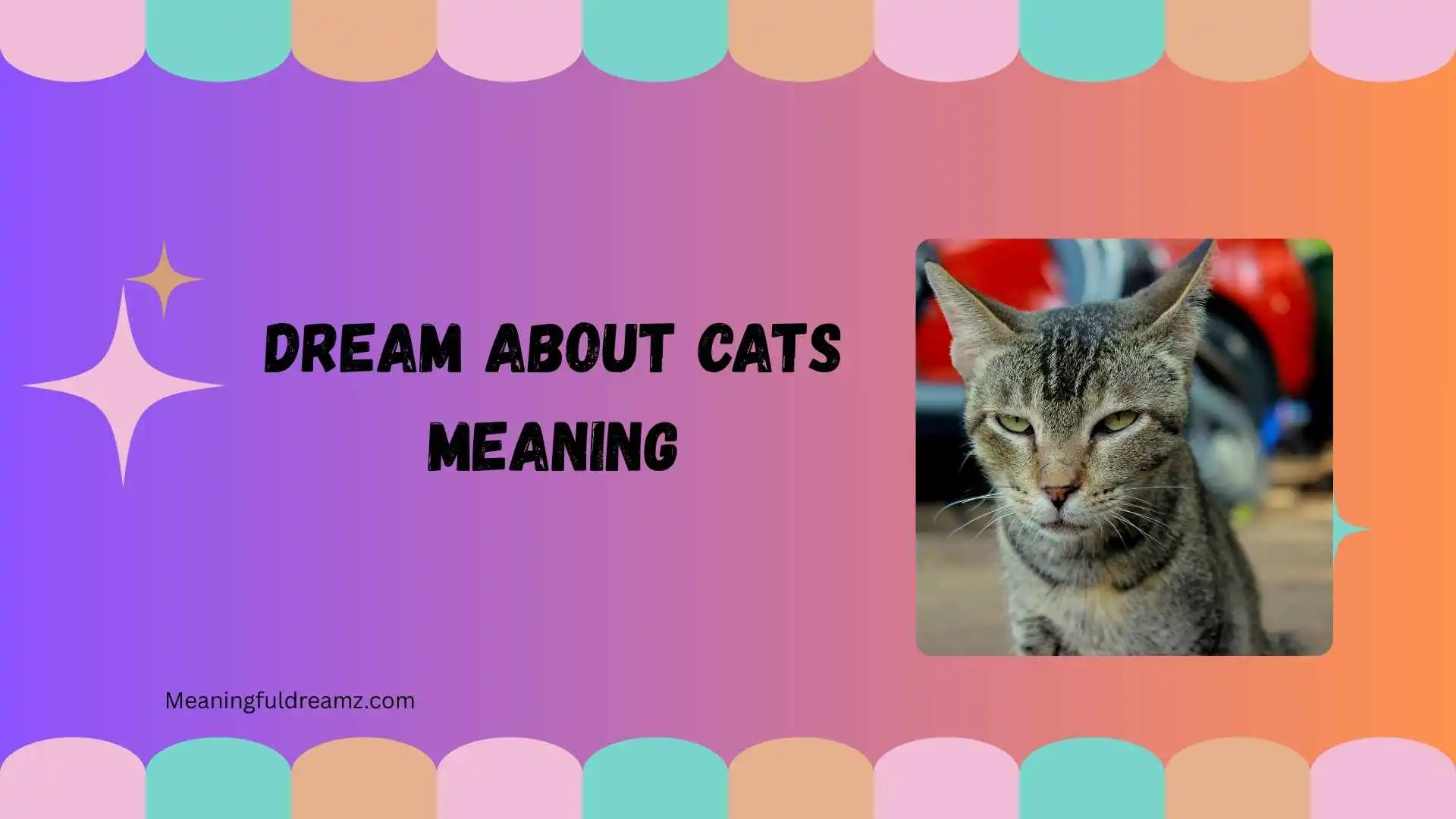 dream about cats meaning