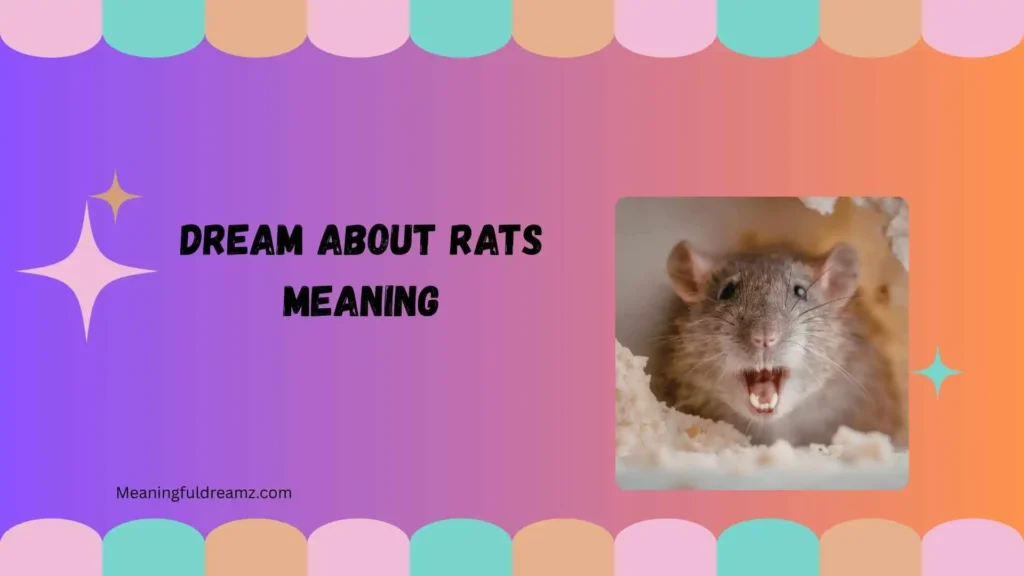 dream about rats meaning