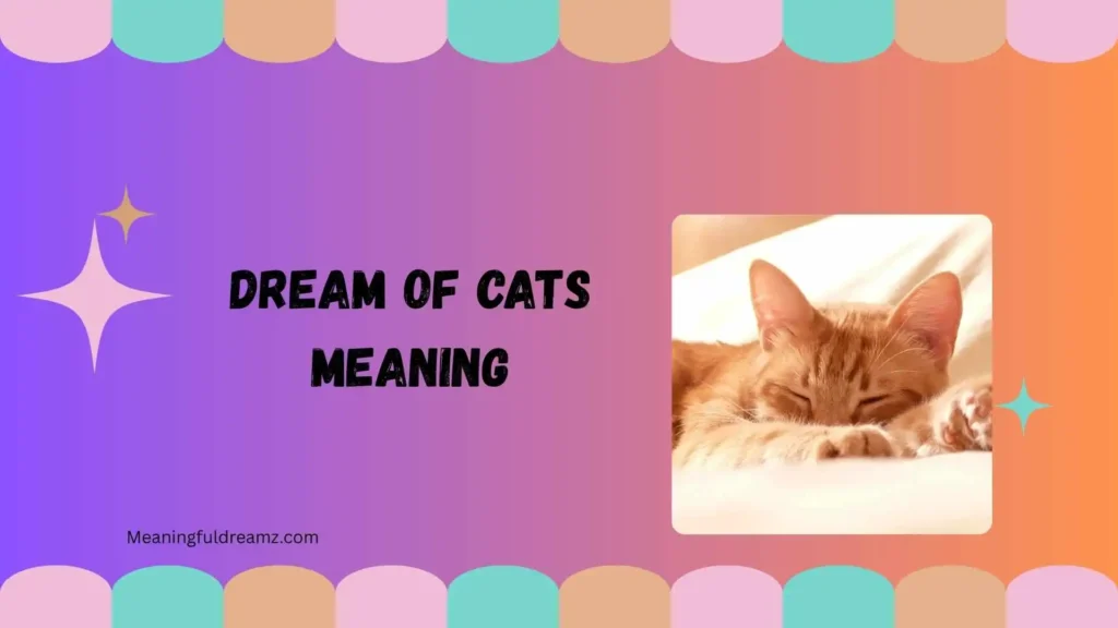 dream of cats meaning