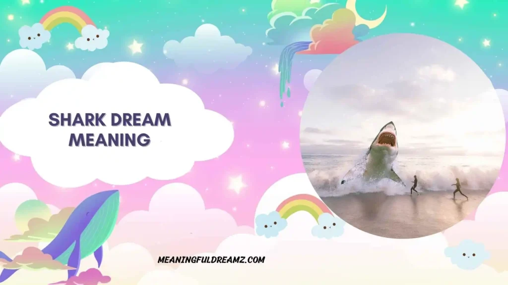 Dreaming of Sharks in Clear Water