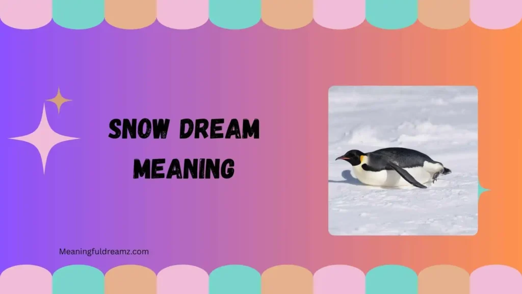 Driving in Snow Dream Meaning