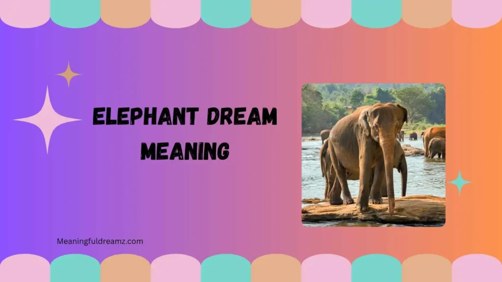 elephant dream meaning