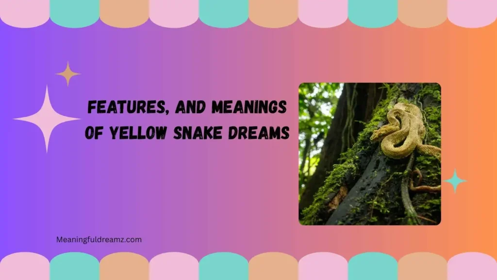 Features, and Meanings of Yellow Snake Dreams