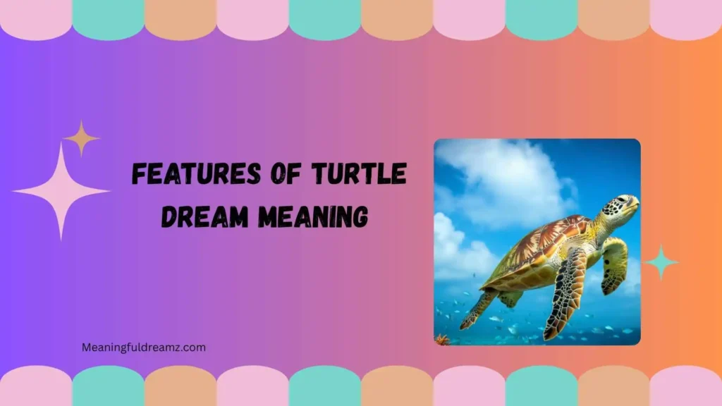 Features of Turtle Dream Meaning
