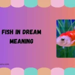 fish in dream meaning