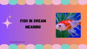 fish in dream meaning
