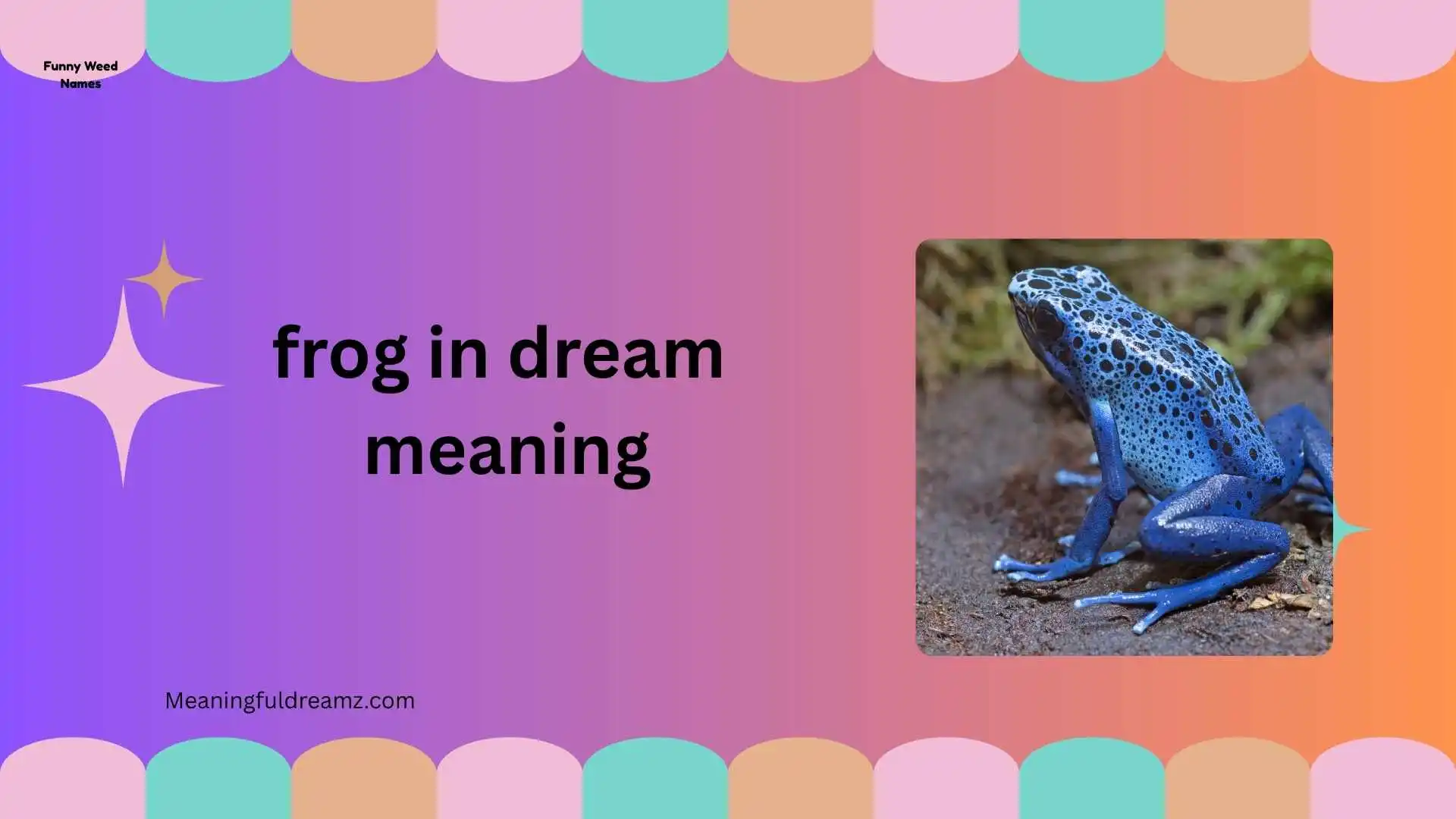 frog in dream meaning