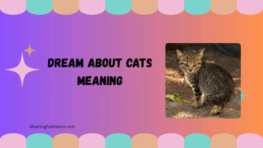 How to Understand and Apply Dream About Cats Meaning
