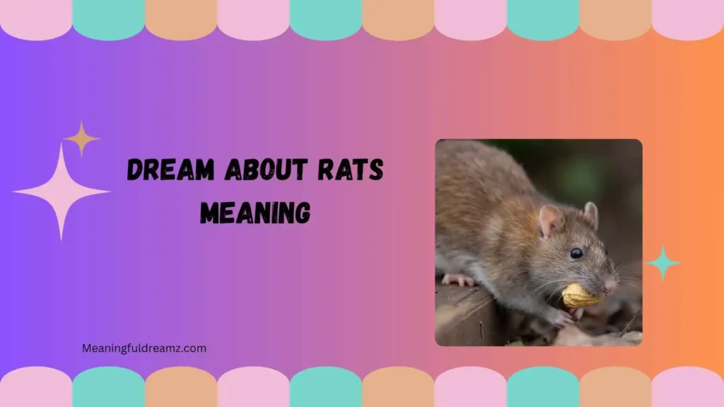 How to Understand and Apply Dream About Rats Meaning