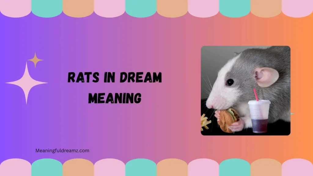 How to Understand and Apply Rats in Dream Meaning