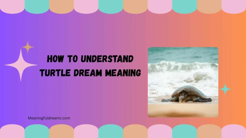 How to Understand Turtle Dream Meaning