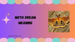 moth dream meaning