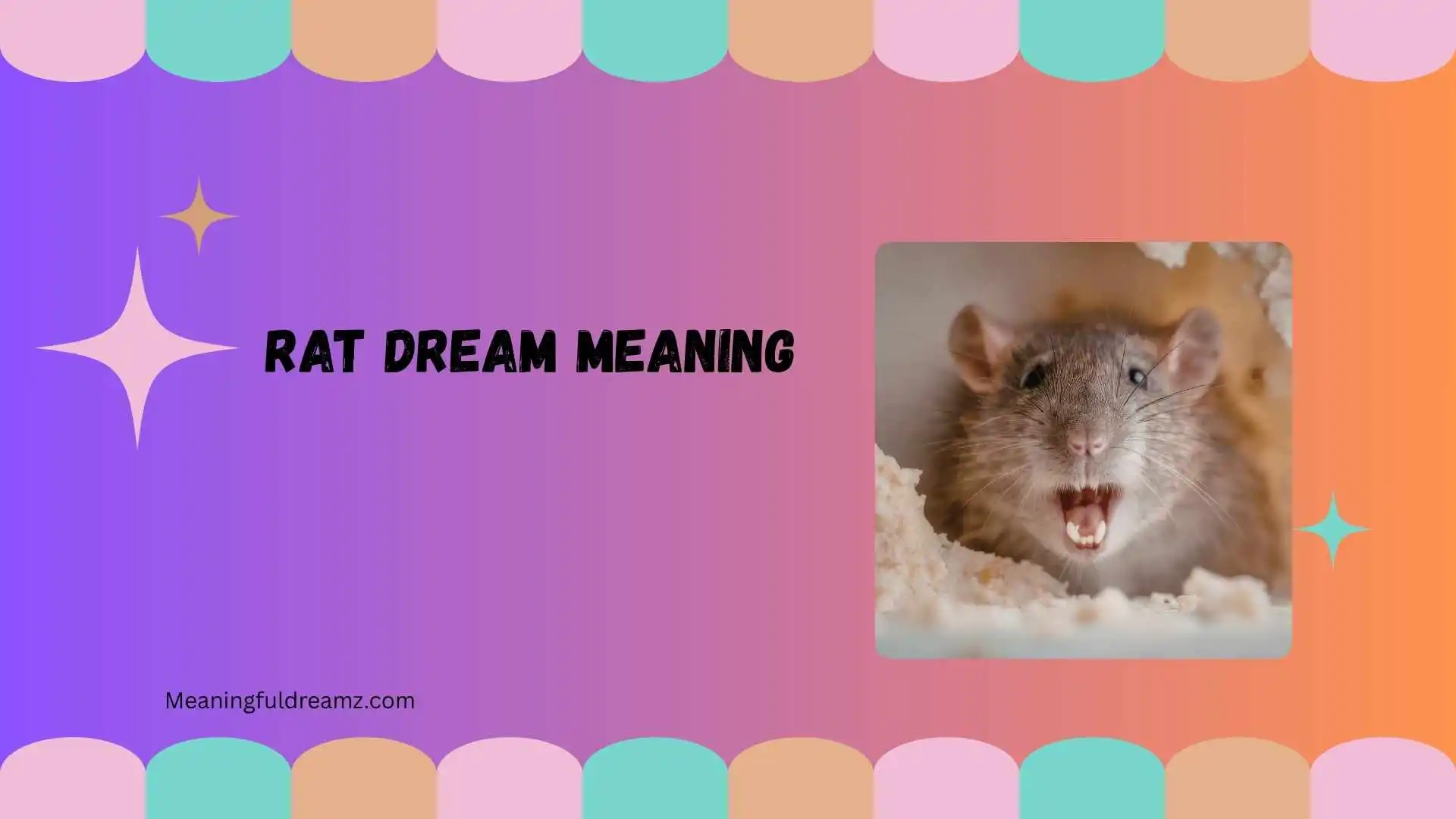 rat dream meaning