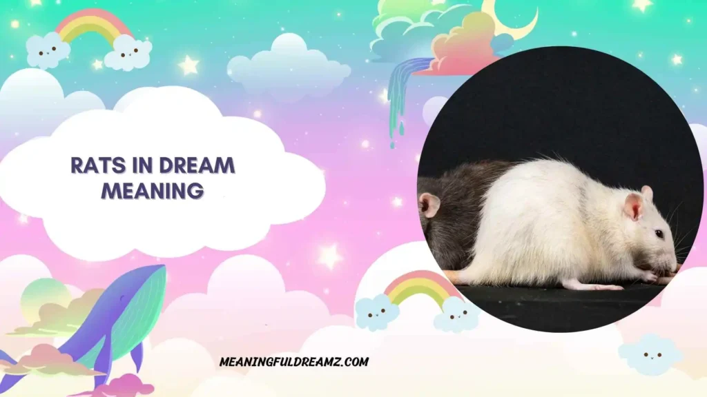 Rats in dream meaning Islamic