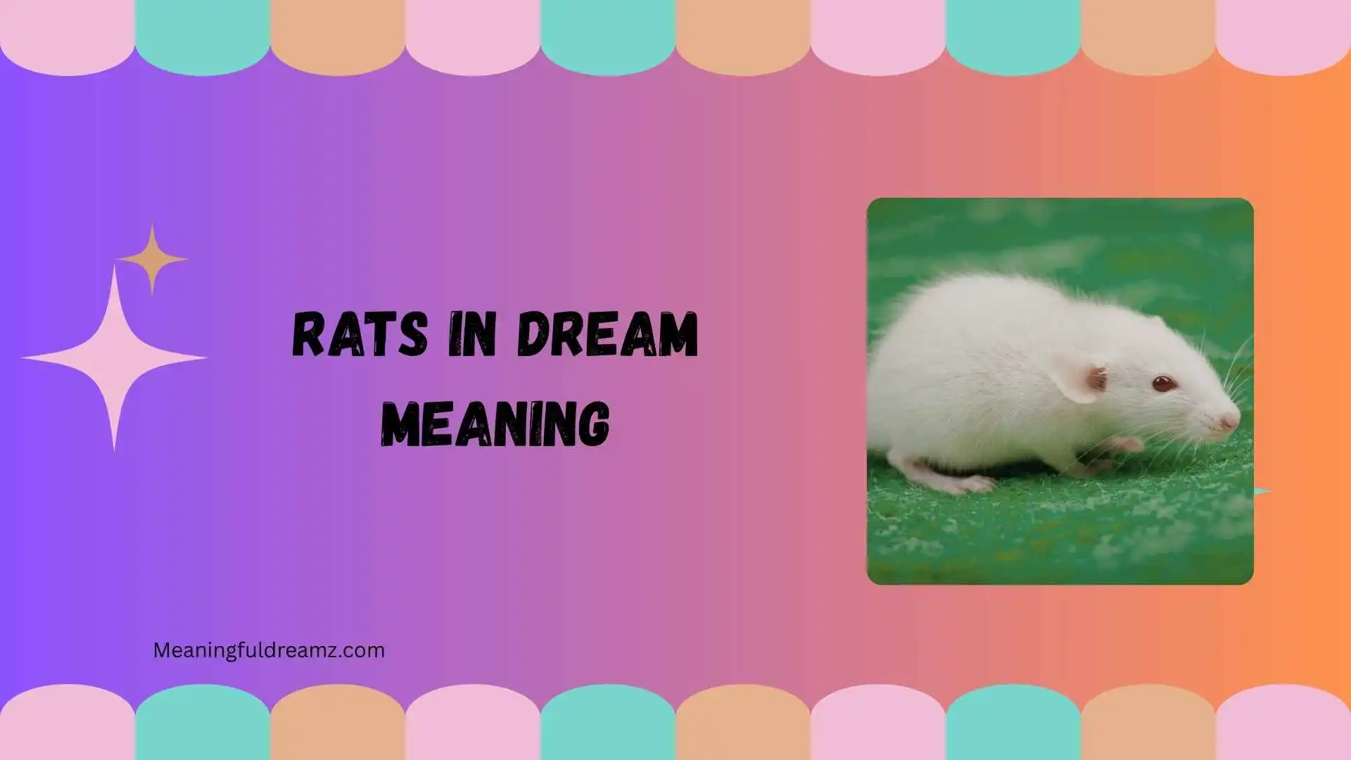 rats in dream meaning