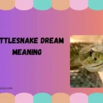 rattlesnake dream meaning