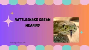 rattlesnake dream meaning