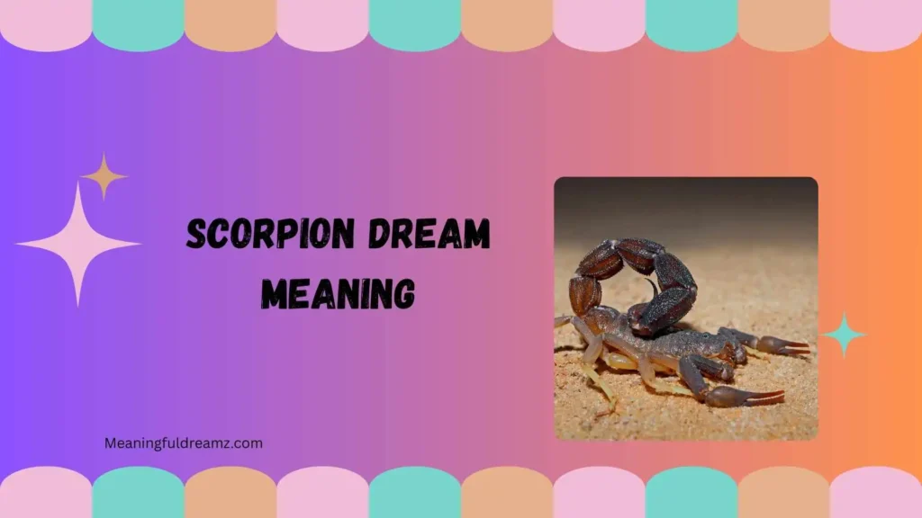 scorpion dream meaning