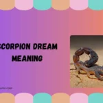 scorpion dream meaning