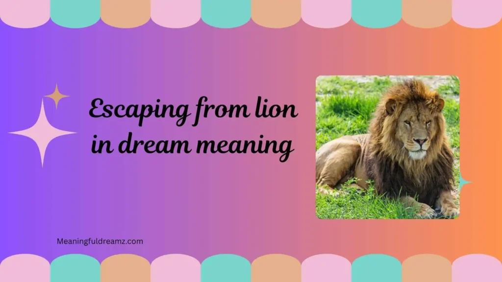 Seeing Lion in Dream Is Good or Bad?