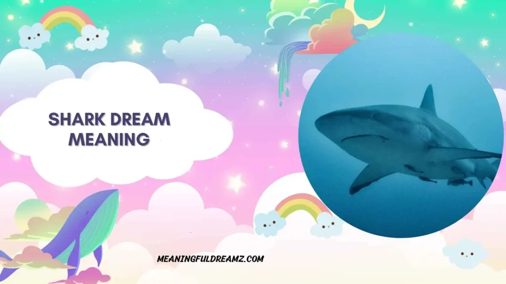 Shark Attack Dream Meaning Islam