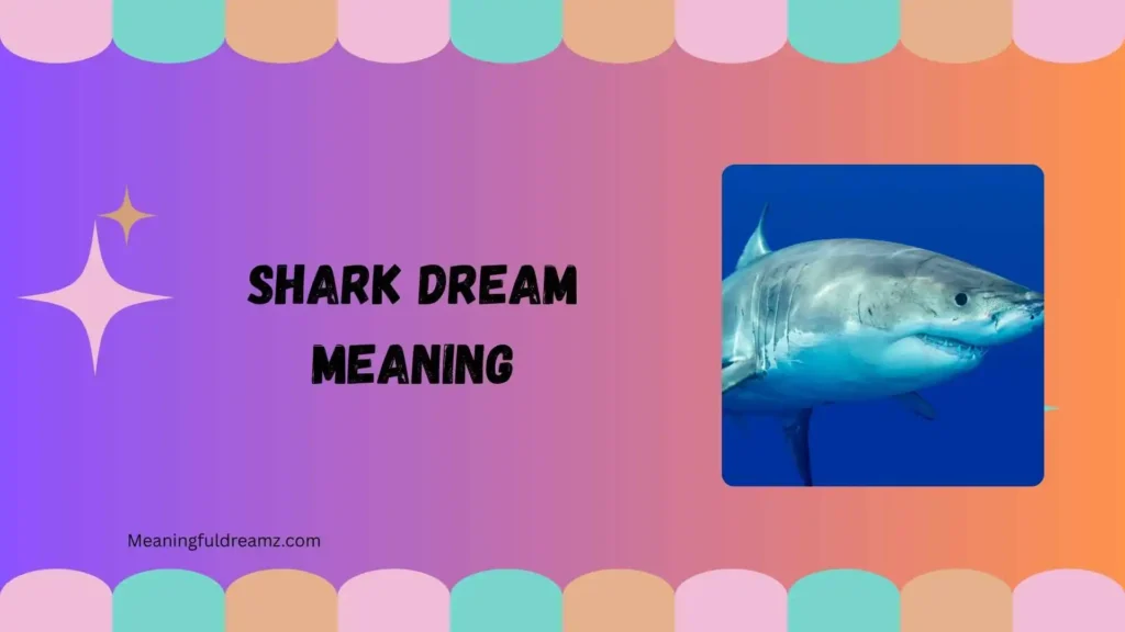 shark dream meaning