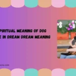 spiritual meaning of dog bite in dream