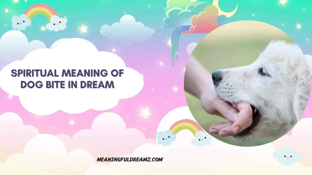 Spiritual Meaning of Dog Bite in Dream in Islam