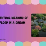 spiritual meaning of flood in a dream