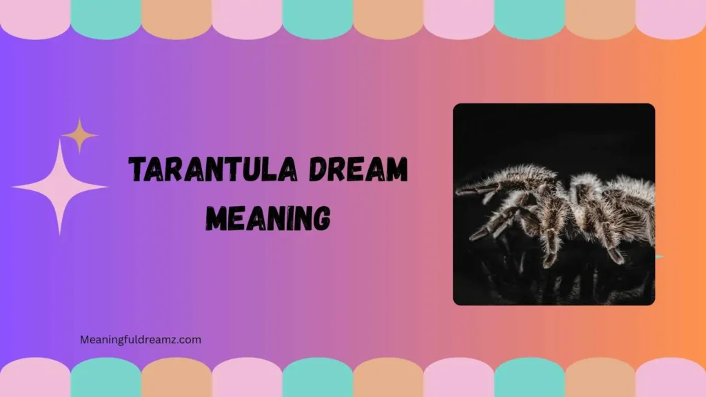 tarantula dream meaning