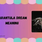 tarantula dream meaning