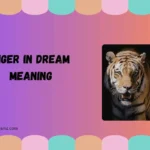 tiger in dream meaning
